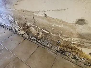 Aufsteigende Feuchtigkeit – feuchte Zonen am unteren Wandbereich