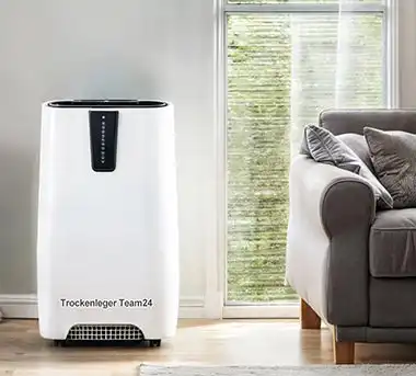 Welcher Luftentfeuchter passt zu Ihrem Keller?