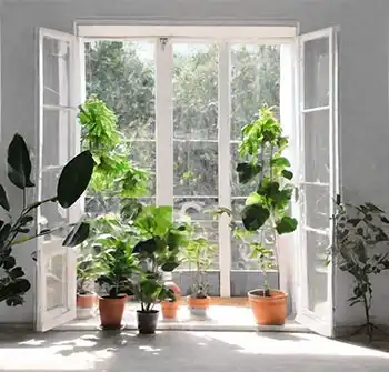 Offenes Fenster und Zimmerpflanze – optimale Wohnatmosphäre