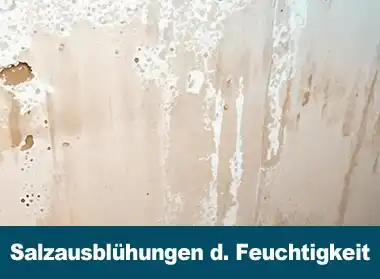 Salzausblühungen bekämpfen – Werkzeug und Vorgehen