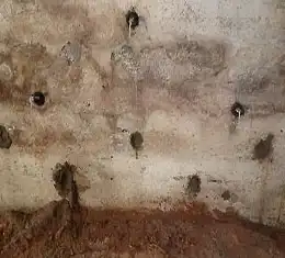Schimmel im Keller: Gesundheits- und Bausubstanzrisiko