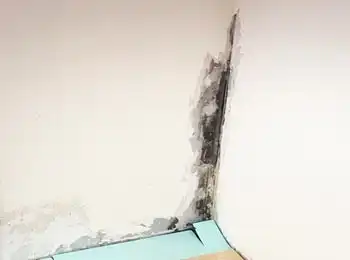 Schimmel an der Wand – Beispiel