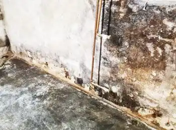 Schwarzer Schimmel an der Wand – Beispiel