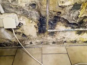 Schwarzer Schimmel am Fenster – Risiken